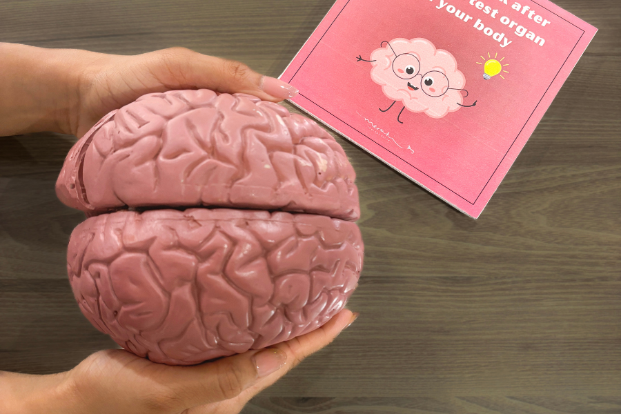 Brain Brain